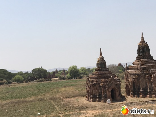 109 ����: ������ 2017. �����