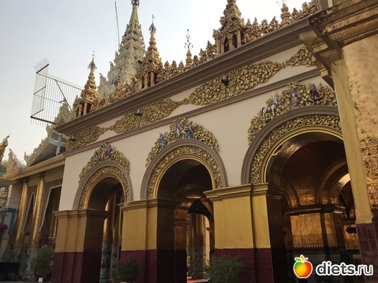 571 ����: ������ 2017. �����