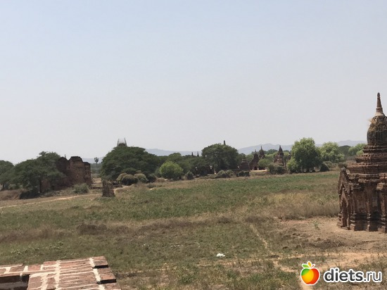 110 ����: ������ 2017. �����