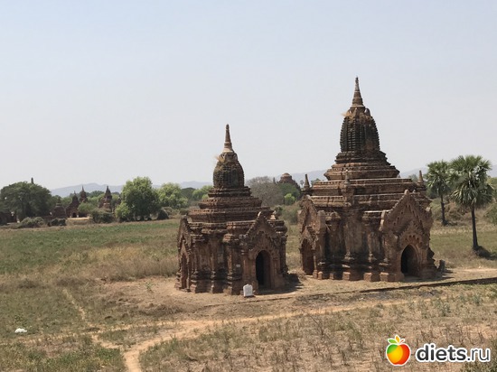 111 ����: ������ 2017. �����