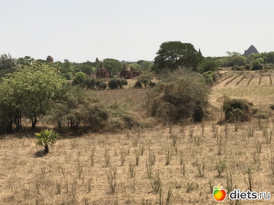 113 ����: ������ 2017. �����