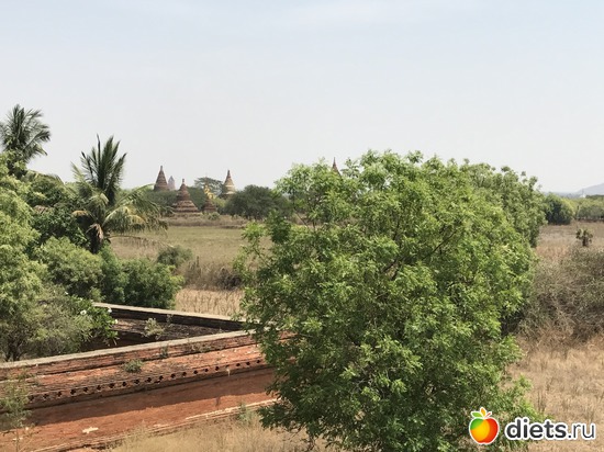 114 ����: ������ 2017. �����