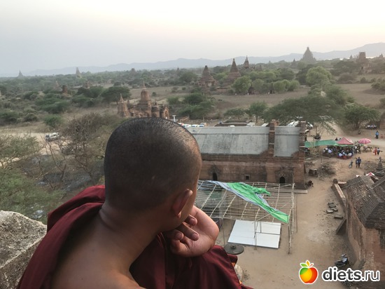 239 ����: ������ 2017. �����