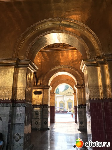 575 ����: ������ 2017. �����