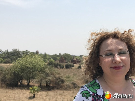 115 ����: ������ 2017. �����