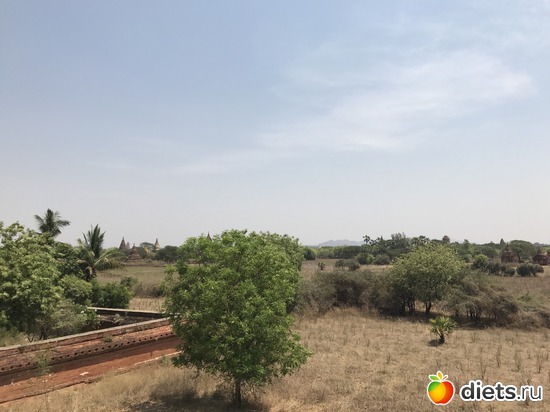 118 ����: ������ 2017. �����