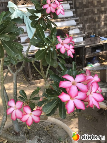 120 ����: ������ 2017. �����