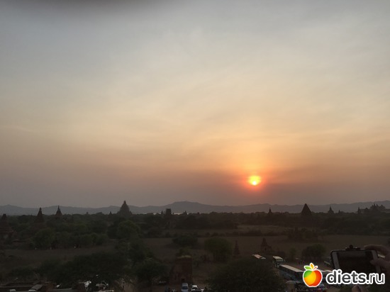 242 ����: ������ 2017. �����