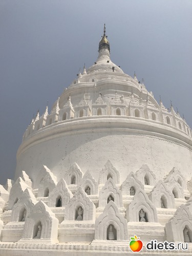 455 ����: ������ 2017. �����