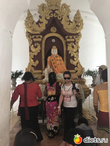 458 ����: ������ 2017. �����