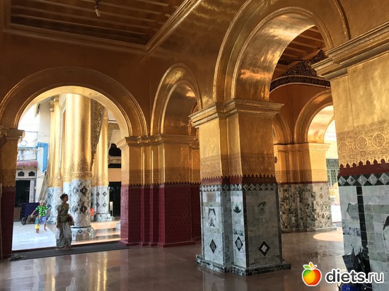 577 ����: ������ 2017. �����