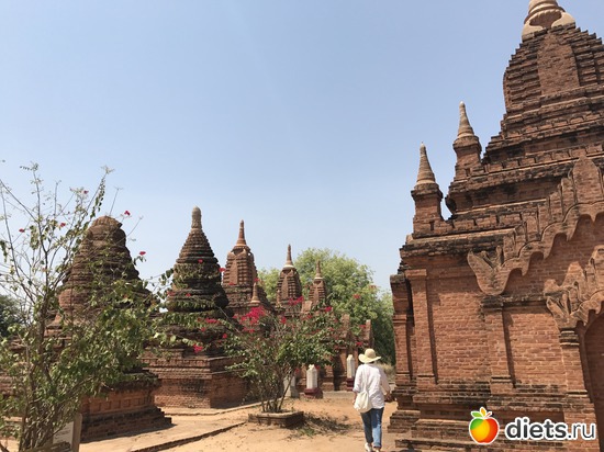 123 ����: ������ 2017. �����