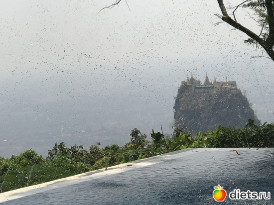 230 ����: ������ 2017. �����