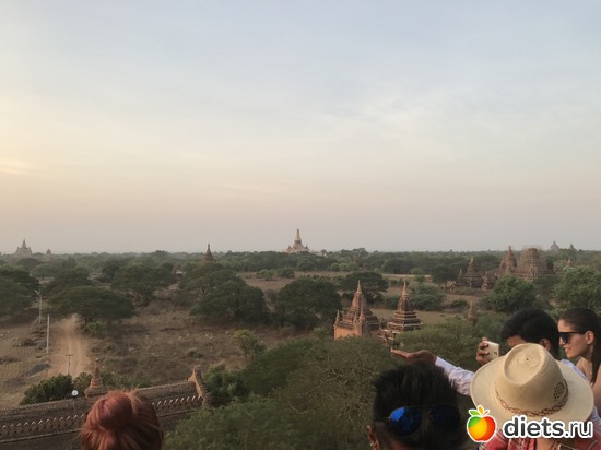 253 ����: ������ 2017. �����