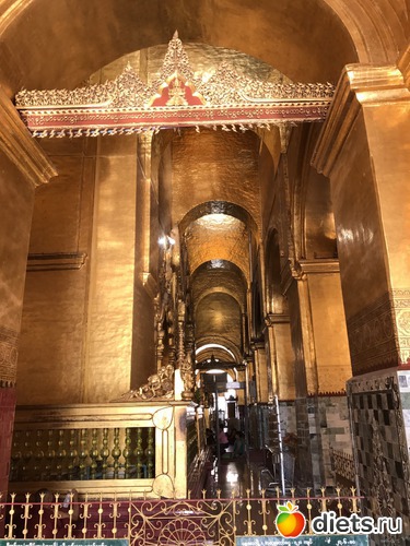 582 ����: ������ 2017. �����