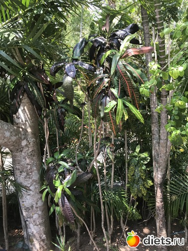 231 ����: ������ 2017. �����