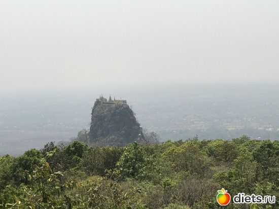 232 ����: ������ 2017. �����