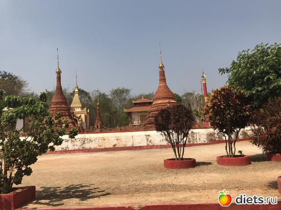 694 ����: ������ 2017. �����