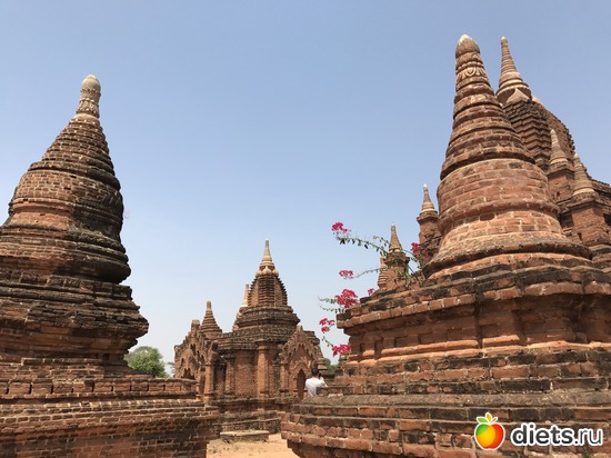 128 ����: ������ 2017. �����