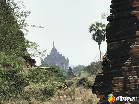 130 ����: ������ 2017. �����