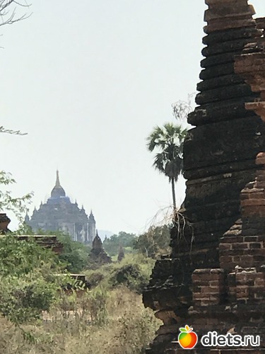 131 ����: ������ 2017. �����