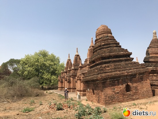 132 ����: ������ 2017. �����