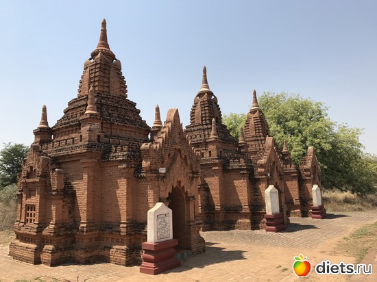 133 ����: ������ 2017. �����