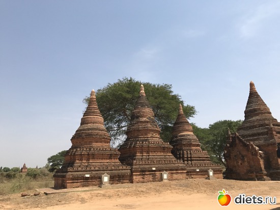 134 ����: ������ 2017. �����