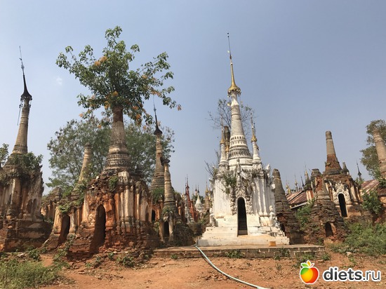 701 ����: ������ 2017. �����