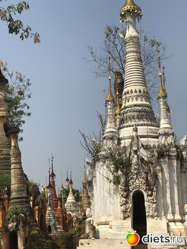 702 ����: ������ 2017. �����