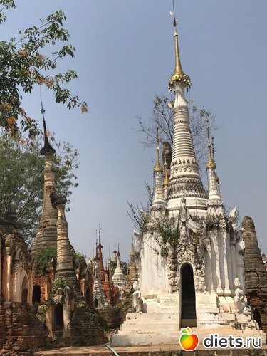 703 ����: ������ 2017. �����