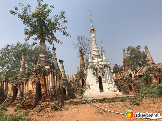 704 ����: ������ 2017. �����