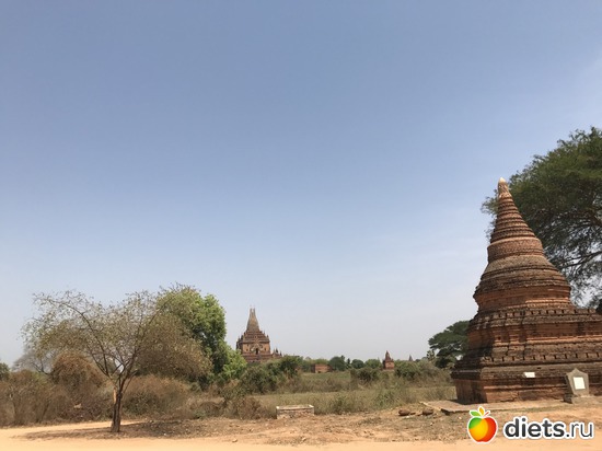 135 ����: ������ 2017. �����