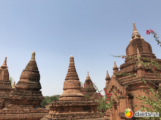 136 ����: ������ 2017. �����