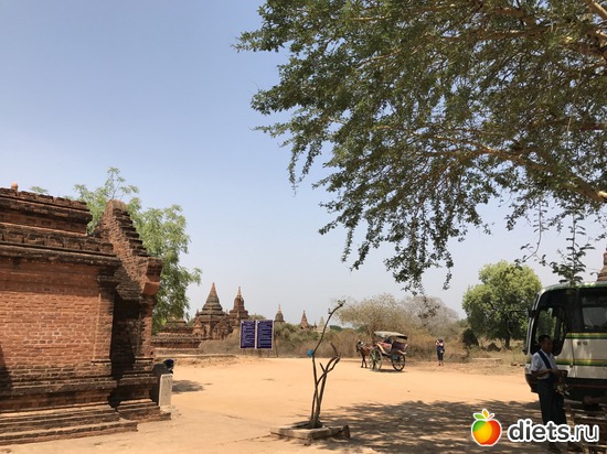 137 ����: ������ 2017. �����