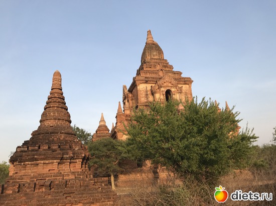 142 ����: ������ 2017. �����