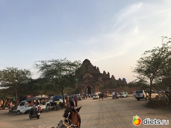 143 ����: ������ 2017. �����