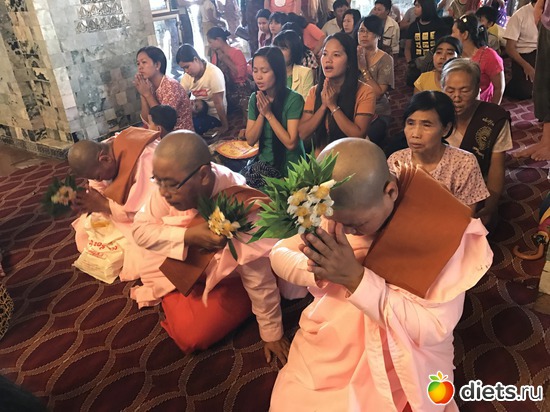 478 ����: ������ 2017. �����