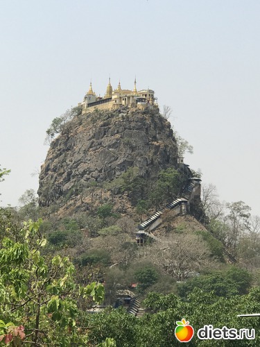 264 ����: ������ 2017. �����