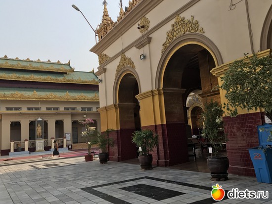 484 ����: ������ 2017. �����