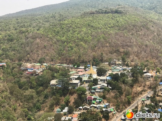 275 ����: ������ 2017. �����