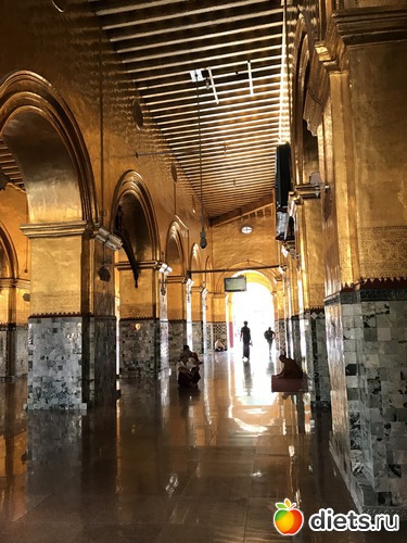 486 ����: ������ 2017. �����