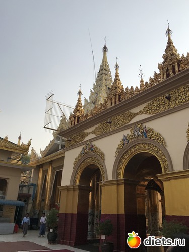 488 ����: ������ 2017. �����