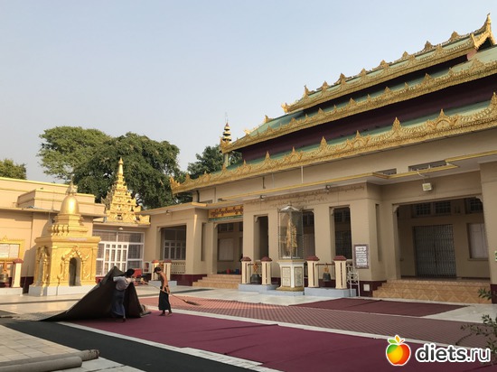 489 ����: ������ 2017. �����