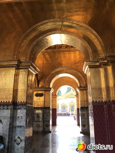 490 ����: ������ 2017. �����