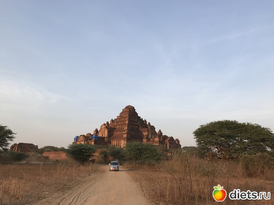 144 ����: ������ 2017. �����