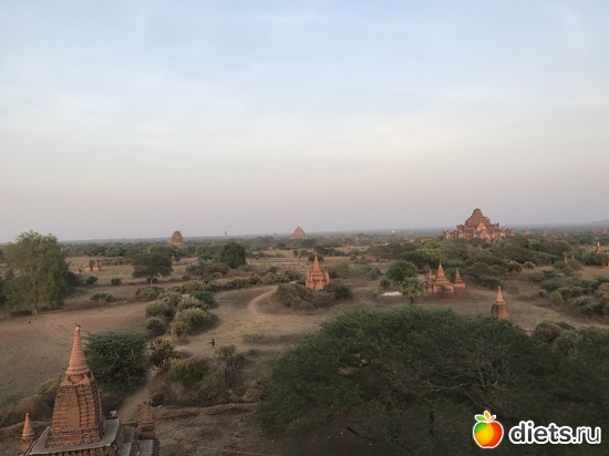 145 ����: ������ 2017. �����