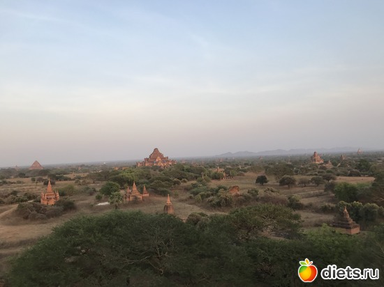 146 ����: ������ 2017. �����