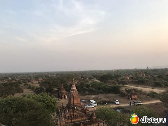 151 ����: ������ 2017. �����