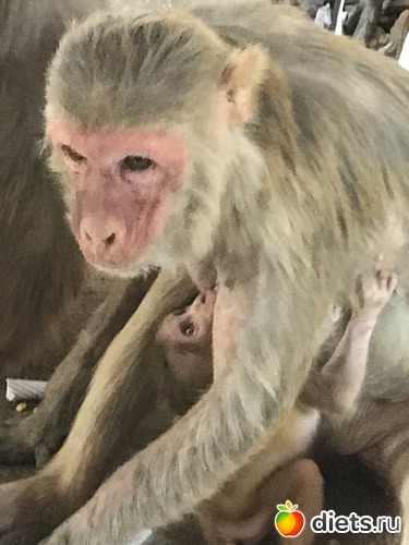 281 ����: ������ 2017. �����